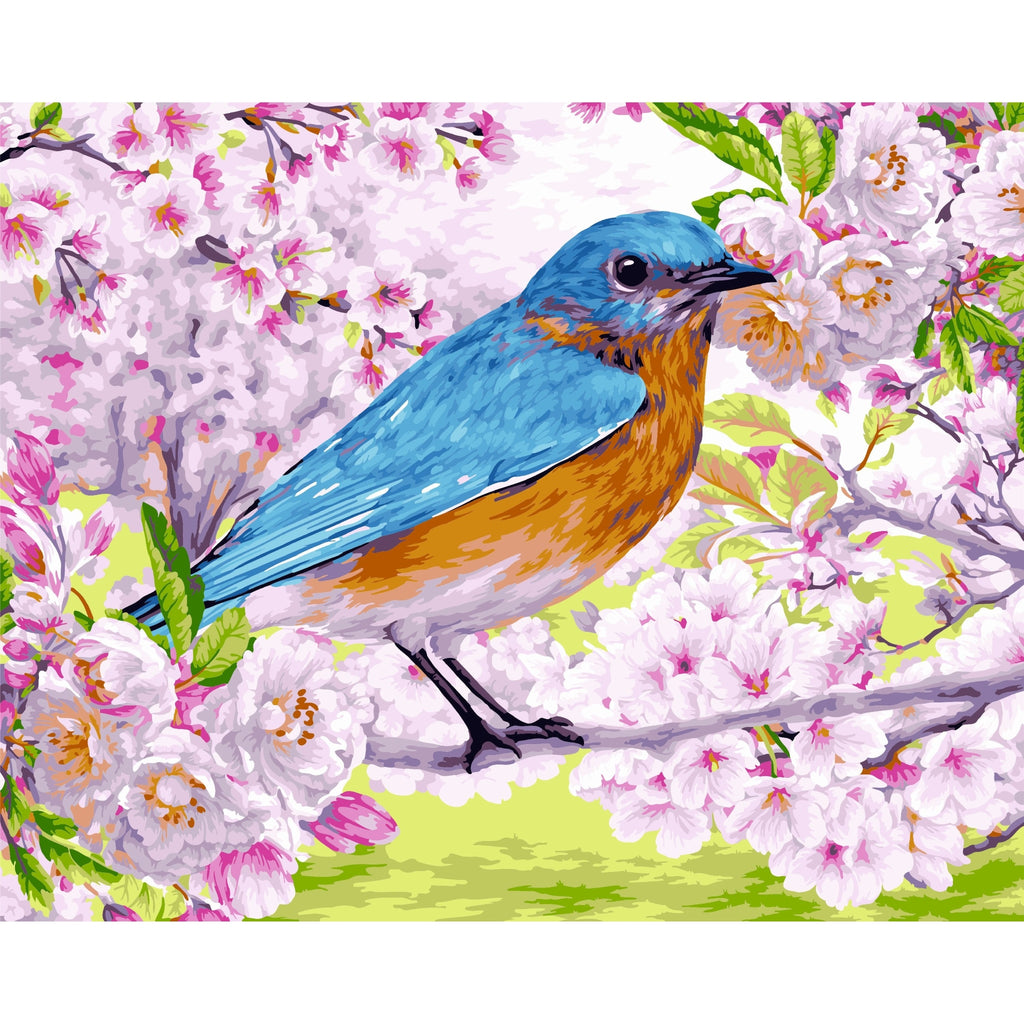 Paint by Numbers Kit Birds & Flowers